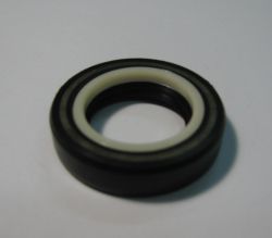 Oil seal SCJY 24x39x8.5 Nylon + NBR  CHO/TW, for steering  of ZF 7891033105