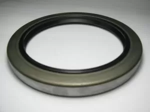 СЕМЕРИНГ BS 95x125x12 NBR 