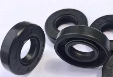 Oil seal AS 17x30x7 NBR GRN/China