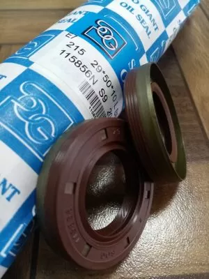 Oil seal A/BSW (TGB) 29x50x10 L NBR SOG/TW