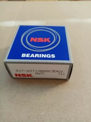 Bearing  В17-123Т1ХDDG8C3E  (17-52-21)  NSK/Japan 