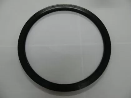  Oil seal AS 260x300x16  NBR