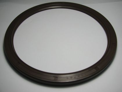 Oil seal  AS 160x185x10 Viton