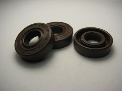 Oil seal AS 10x22x6 Viton