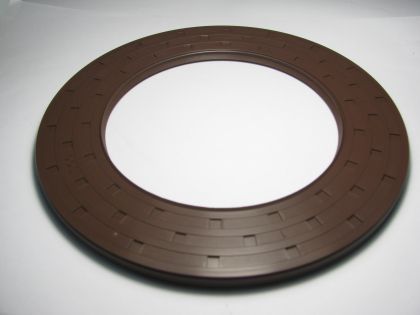 Oil seal  AS 110x170x7 Viton