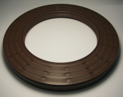 Oil seal  AS 110x170x15 Viton 