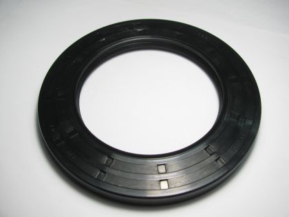  Oil seal  AS 95x145x13