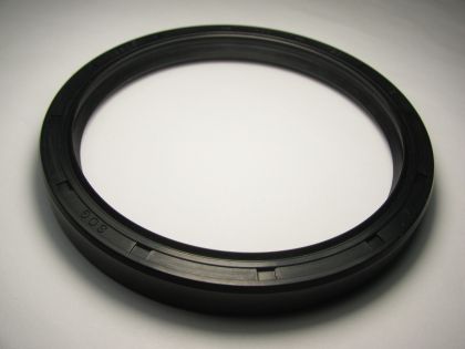  Oil seal AS 100x120x13 NBR