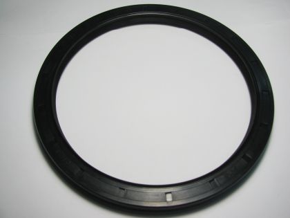  Oil seal AS 160x190x13  NBR