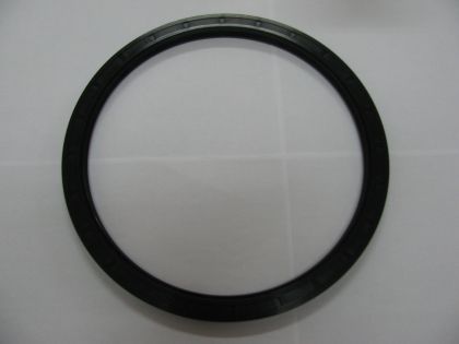  Oil seal AS 250x290x15  NBR