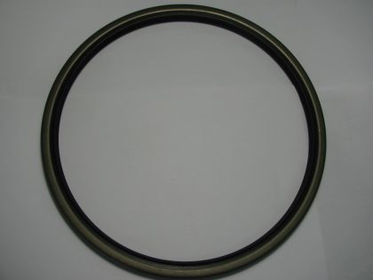 Oil seal BS 230x255x15 NBR 