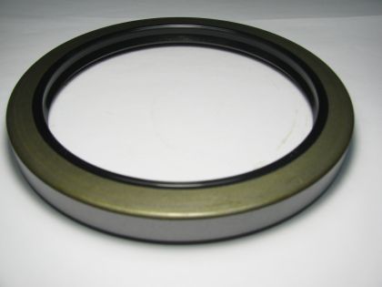 Oil seal BS 140x165x12 NBR