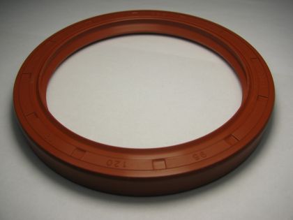 Oil seal AS 95x120x12 Silicone