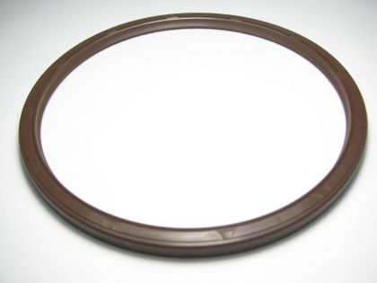 Oil seal AS 114x126x6 Viton