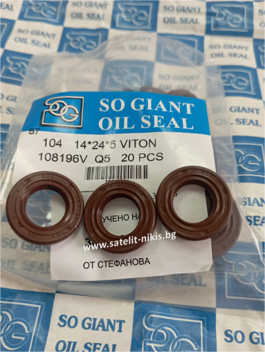 Oil seal   AS 14x24x5 Viton SOG/TW