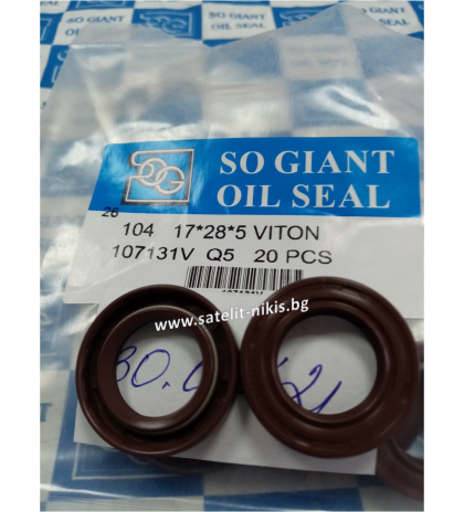 Oil seal   AS 17x28x5 Viton SOG/TW