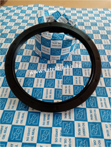 Oil seal   AS 170x205x15 NBR SOG/TW