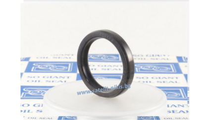 Oil seal AOF (101) 35x62x6 NBR SOG/TW