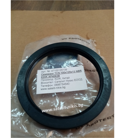 Oil seal TCN 100x125x13 NBR  KDIK/China,  NOK AP4063B  for hydraulic pump  and motors