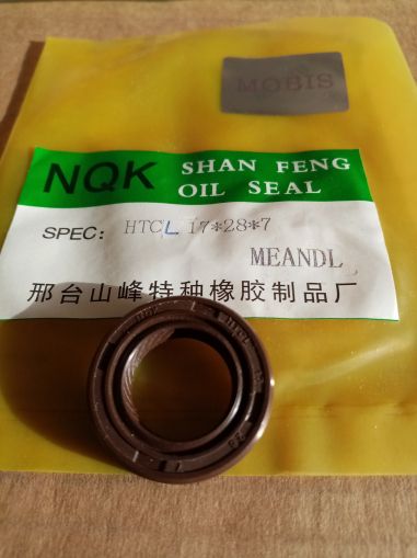 Oil seal  AS 17x28x7 L NBR NQK.SF/China 