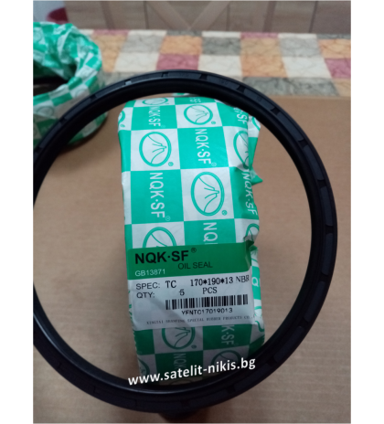  Oil seal AS 170x190x13 NBR NQK.SF/China