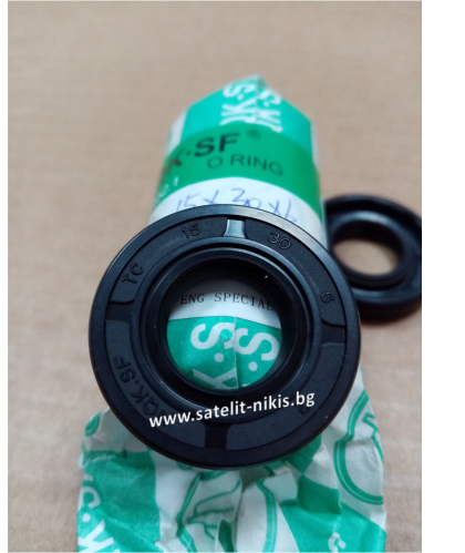  Oil seal AS 15x30x6 NBR NQK.SF/China