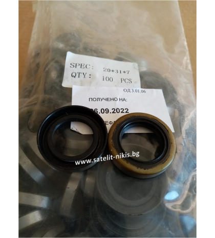  Oil seal  BS 20x31x6 NBR NQK.SF/China