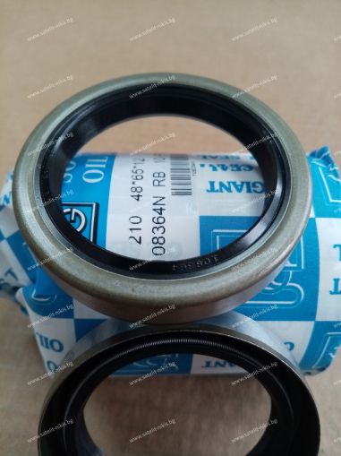 Oil seal BS (210) 48x65x12  NBR SOG/TW