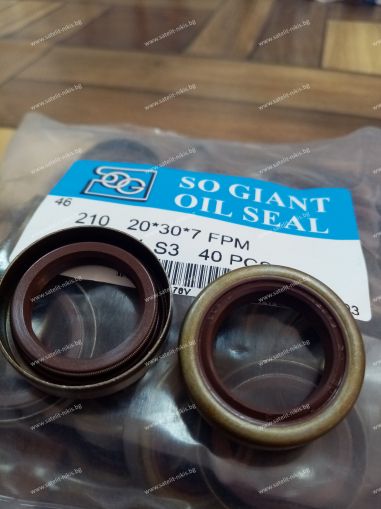 Oil seal  BS (210)  20x30x7 Viton SOG/TW