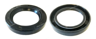 Oil seal   AS 17x35x10 NBR GRN/China