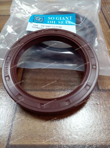 Oil seal  AS 75x100x13 Viton SOG/TW