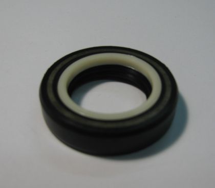 Oil seal SCJY 24x39x8.5 Nylon + NBR  CHO/TW, for steering  of ZF 7891033105
