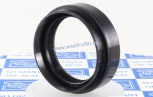 Oil seal TC9 (133) 100x120x13/18 NBR SOG/TW , for crankshaft of Hino Ranger, FC3WKA,9828-00109,TOYTOTA 9031199002