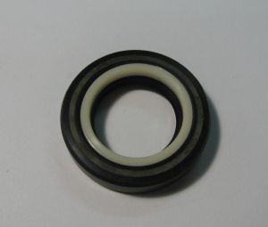 Oil seal SCJY 24x39x8.5 Nylon + NBR  CHO/TW, for steering  of ZF 7891033105