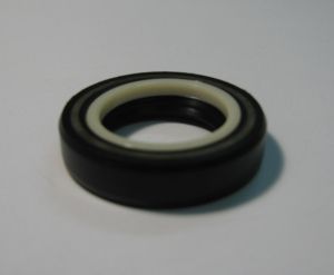 Oil seal SCJY 24x39x8.5 Nylon + NBR  CHO/TW, for steering  of ZF 7891033105