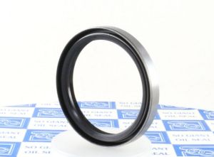 Oil seal TM (BS)  48x60x8 NBR SOG/TW