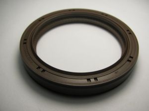 Oil seal AS 48x62x8 R FKM  NOK/Japan, for crancshaft of Hyundai,Kia ,transfer case of Lexus,Toyota 90311-48025 ,AH2774-G0   