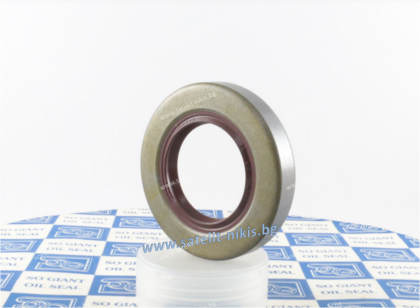 Семеринг BS (TZ) 25x32x4 Viton SOG/TW