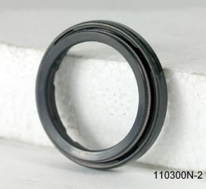 СЕМЕРИНГ A (SCY) 23x30x4/6 NBR SOG/TW