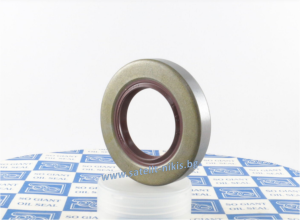 Семеринг BS (TZ) 25x32x4 Viton SOG/TW
