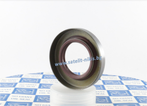 Семеринг BS (TZ) 25x32x4 Viton SOG/TW