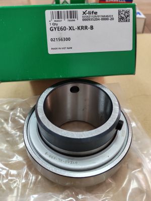 Bearing  GYE60-KRR-B ( 60x110x65.1 ) INA/Germany 
